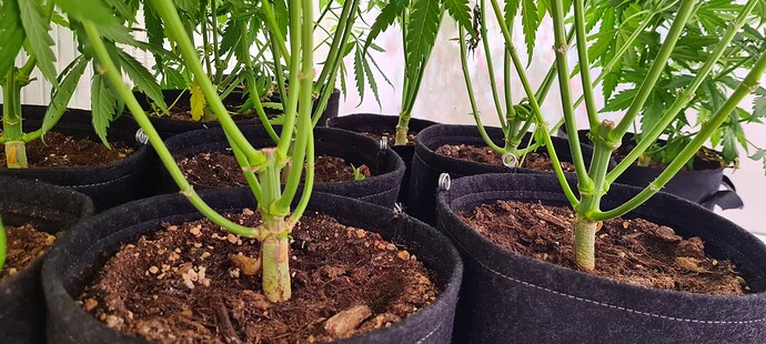 Growreport Bild 11