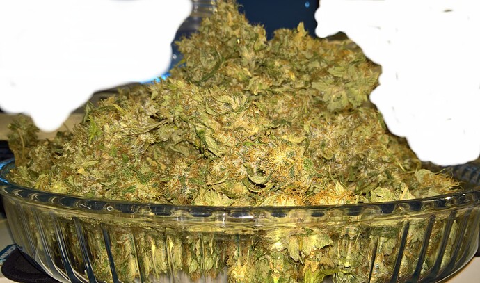 Growreport Bild 13