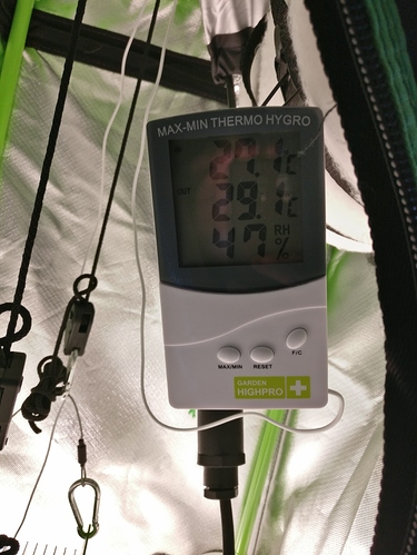 Growreport Bild 2