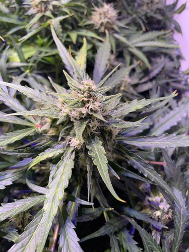 Growreport Bild 11