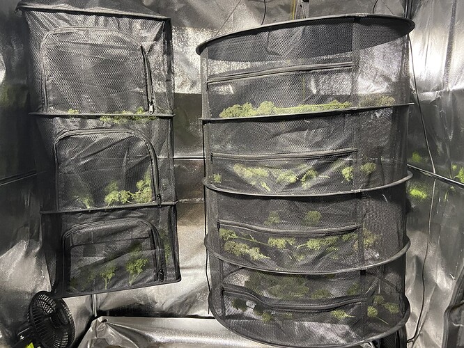 Growreport Bild 3