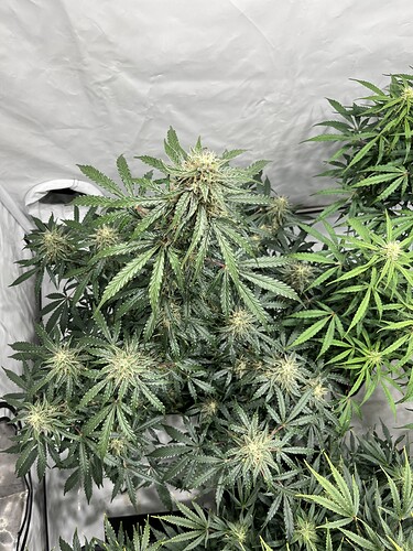 Growreport Bild 18