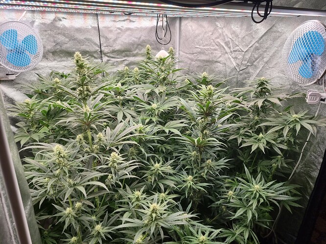 Growreport Bild 24