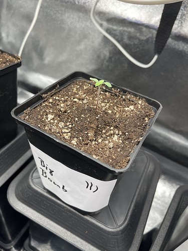 Growreport Bild 24