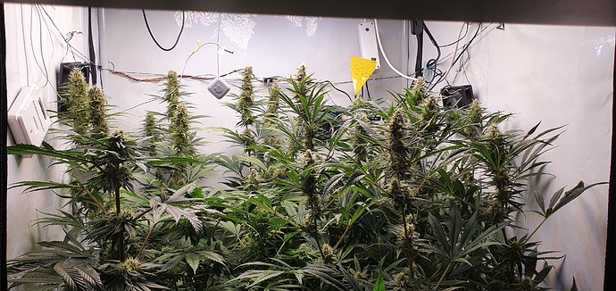 Growreport Bild 14