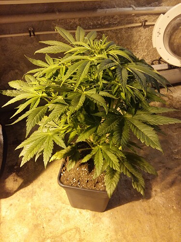 Growreport Bild 14