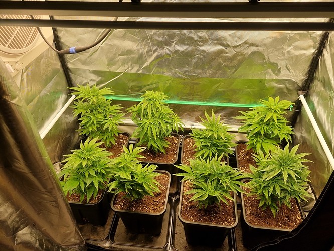 20211121_183134