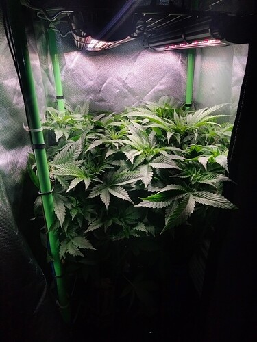 Growreport Bild 10