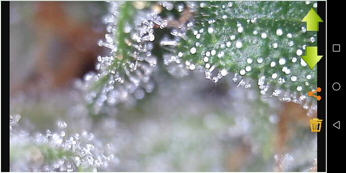 Screenshot_20230607-231502