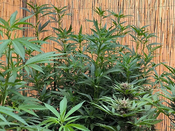 Growreport Bild 12