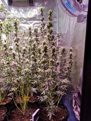 Growreport Bild 26