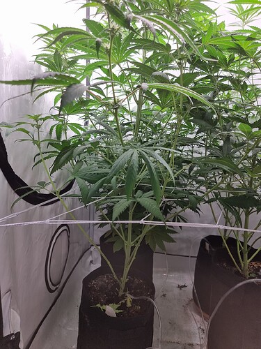 Growreport Bild 90