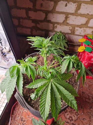 Growreport Bild 27