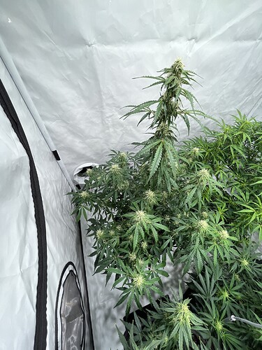 Growreport Bild 16