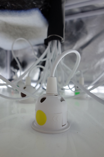 Nahaufnahme einer Lampenfassung mit Kabeln in einer Growbox.