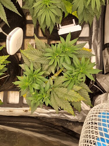 Growreport Bild 21