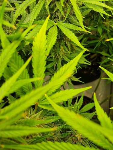 Growreport Bild 10