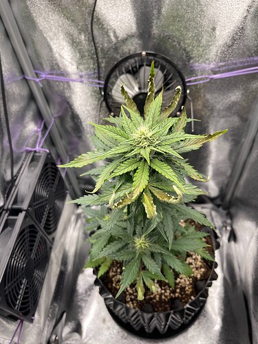 Growreport Bild 3