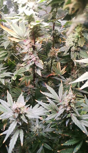 Growreport Bild 4