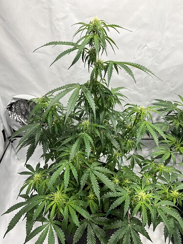 Growreport Bild 16
