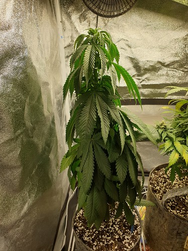Growreport Bild 8