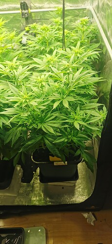Growreport Bild 10