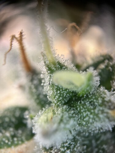 Growreport Bild 26