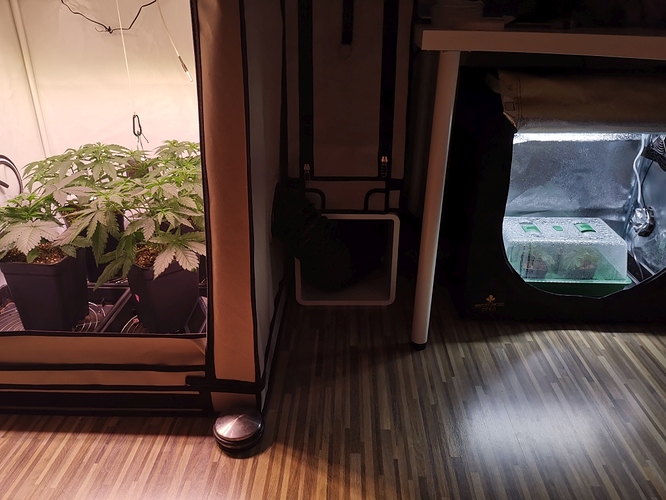 Growreport Bild 5