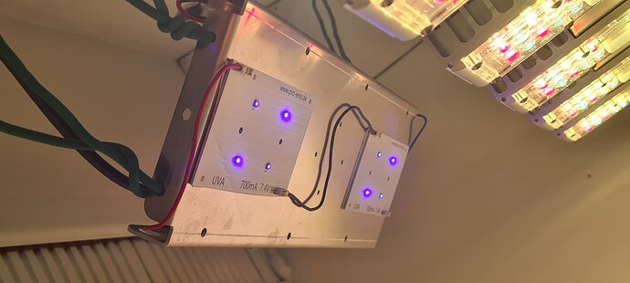 Growreport Bild 8