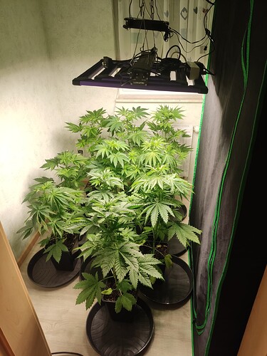 Growreport Bild 22