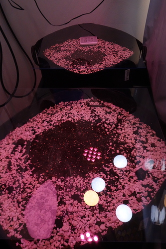 Growreport Bild 1