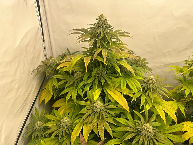 Growreport Bild 10