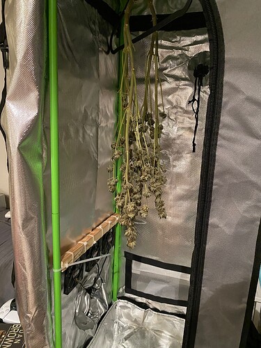 Growreport Bild 1