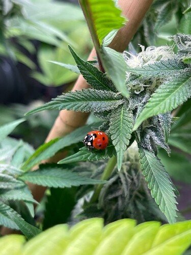 Growreport Bild 4