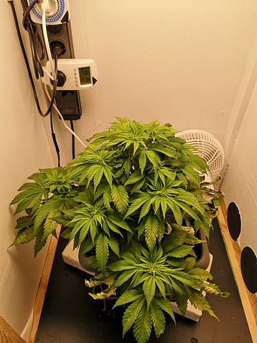 Growreport Bild 3