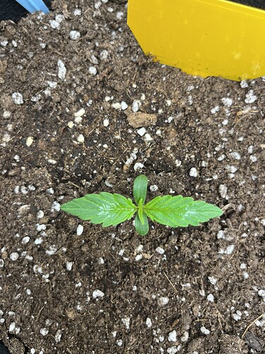 Growreport Bild 2