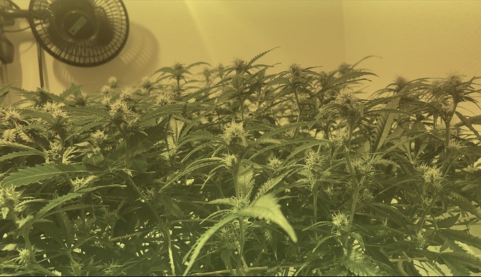 Growreport Bild 13