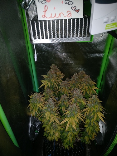 Growreport Bild 6