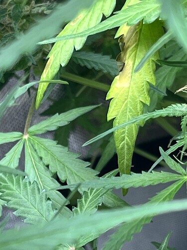 Growreport Bild 13