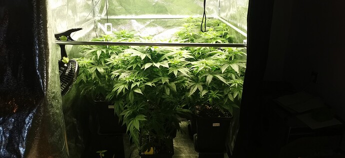 Growreport Bild 13