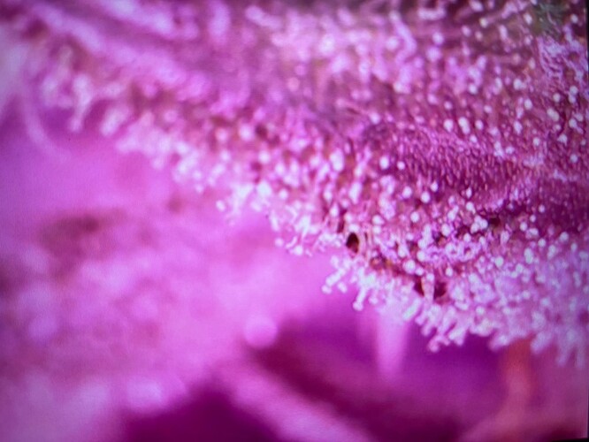 Growreport Bild 11
