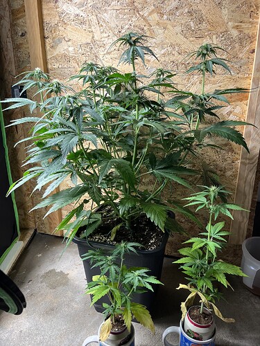 Growreport Bild 20