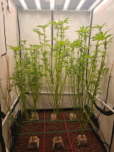 Growreport Bild 8