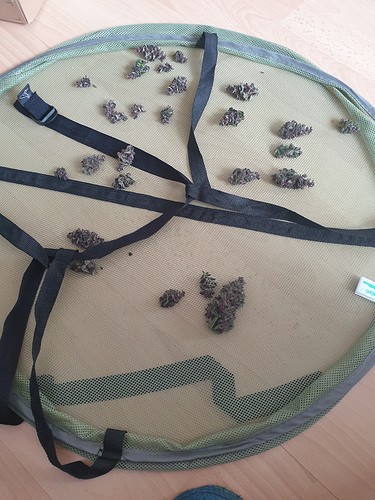 Growreport Bild 12