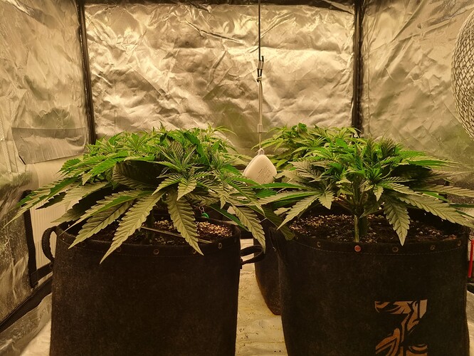 Growreport Bild 21