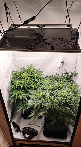 Growreport Bild 10