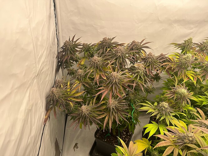 Growreport Bild 10