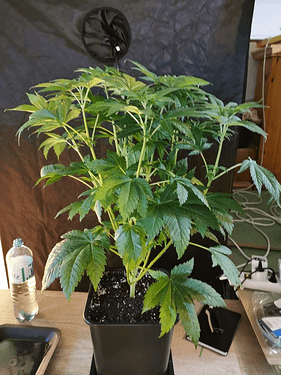 Growreport Bild 5