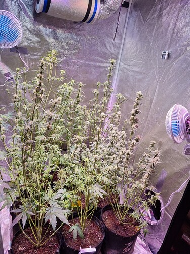 Growreport Bild 9