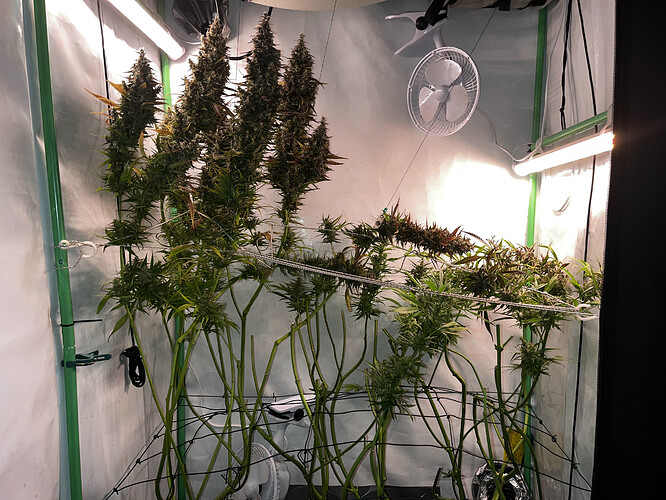 Growreport Bild 2